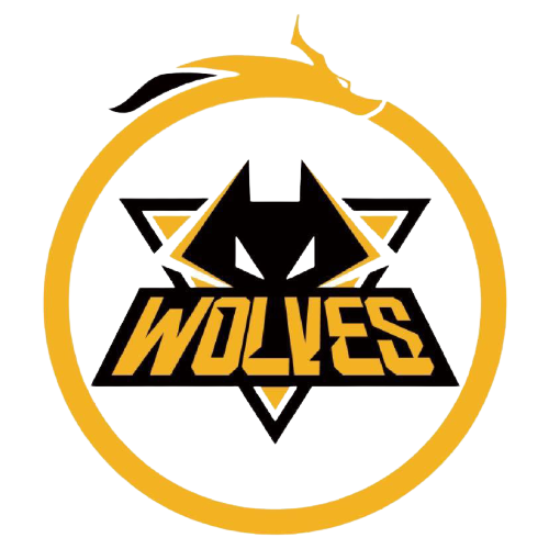 年中国足球 年中国足球